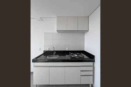 Cozinha - Armários de apartamento para alugar com 1 quarto, 27m² em Vila Moraes, São Paulo