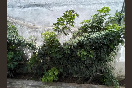 Casa para alugar com 207m², 3 quartos e 3 vagasQuarto 1