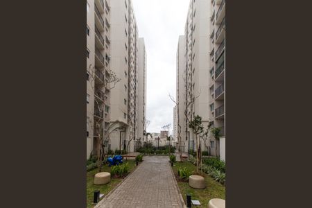 Apartamento para alugar com 50m², 2 quartos e 1 vagaÁrea comum