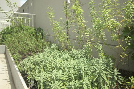 Apartamento à venda com 46m², 2 quartos e 1 vagaHorta