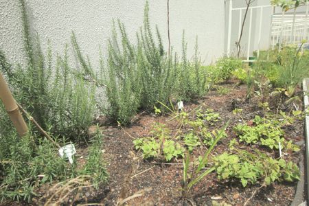 Apartamento à venda com 46m², 2 quartos e 1 vagaHorta