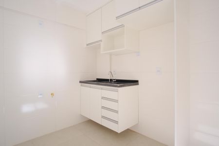Apartamento para alugar com 46m², 2 quartos e sem vagaCozinha