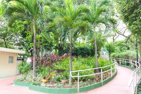 Apartamento para alugar com 55m², 2 quartos e 1 vagaBosque