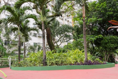 Apartamento para alugar com 55m², 2 quartos e 1 vagaBosque