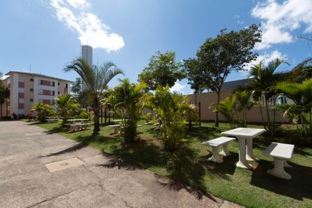 Apartamento para alugar com 50m², 2 quartos e 1 vaga Apartamento para alugar com 50m², 2 quartos e 1 vagaÁrea comum