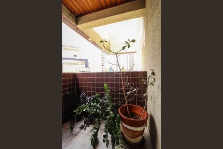 Apartamento à venda com 110m², 3 quartos e 2 vagas Apartamento à venda com 110m², 3 quartos e 2 vagasVaranda da Suite