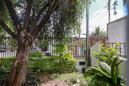 Casa à venda com 348m², 3 quartos e 3 vagasVista da sala de estar