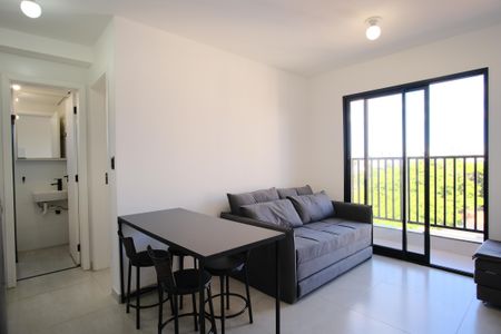 Sala de apartamento para alugar com 1 quarto, 43m² em Vila Aricanduva, São Paulo