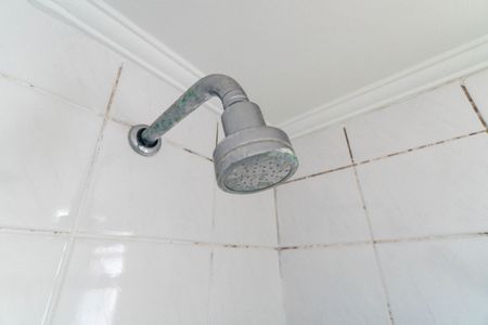 Apartamento à venda com 56m², 2 quartos e 1 vaga Apartamento à venda com 56m², 2 quartos e 1 vagaBanheiro da Suíte