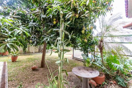 Casa à venda com 290m², 5 quartos e 2 vagasQuintal dos fundos