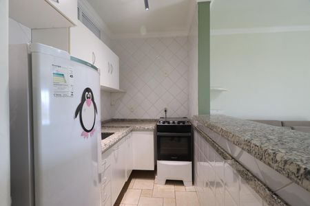 Cozinha de kitnet/studio para alugar com 1 quarto, 30m² em Nova Aliança, Ribeirão Preto