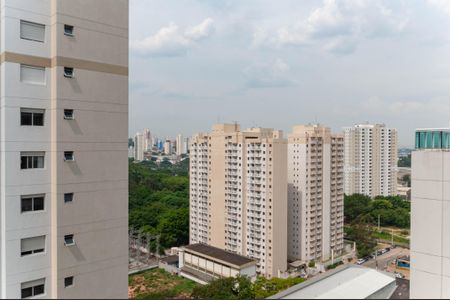 Vista de apartamento à venda com 1 quarto, 47m² em Várzea da Barra Funda, São Paulo