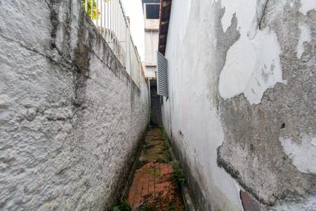 Casa à venda com 240m², 5 quartos e 4 vagasQuintal