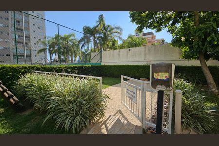 Apartamento para alugar com 130m², 3 quartos e 2 vagasPet Place