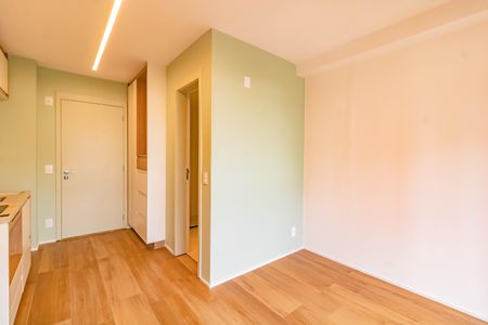 Kitnet/Studio para alugar com 1 quarto, 24m² em Vila Santa Catarina, São Paulo