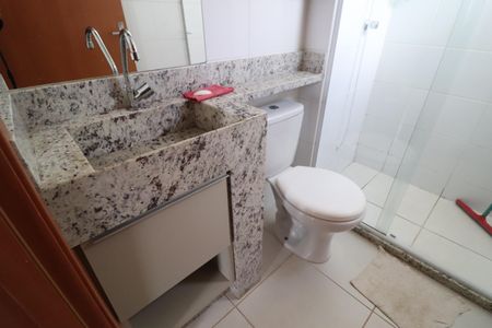Banheiro Social de apartamento para alugar com 2 quartos, 54m² em Shopping Park, Uberlândia