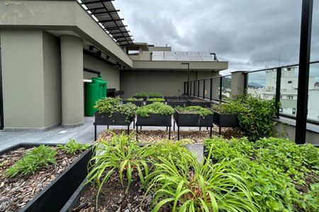 Apartamento para alugar com 31m², 1 quarto e sem vagaHorta