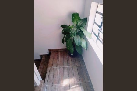 Casa à venda com 252m², 3 quartos e 2 vagas