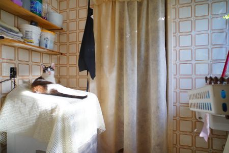 Apartamento à venda com 74m², 2 quartos e sem vagaÁrea de Serviço