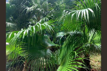 Apartamento à venda com 74m², 3 quartos e 2 vagas Apartamento à venda com 74m², 3 quartos e 2 vagasFoto 28