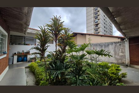 Casa para alugar com 221m², 3 quartos e 6 vagasArea externa