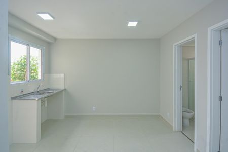 Sala/Cozinha de kitnet/studio para alugar com 1 quarto, 30m² em Jardim Anhanguera, São Paulo