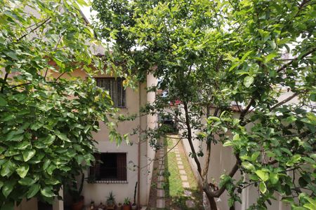 Casa à venda com 310m², 5 quartos e 7 vagasQuintal