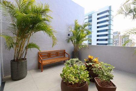 Apartamento para alugar com 33m², 1 quarto e 1 vagaTerraço