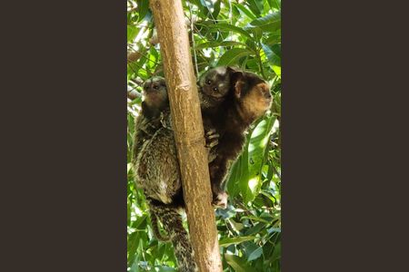 Apartamento à venda com 70m², 3 quartos e 2 vagasÁrea comum