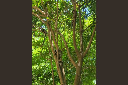 Apartamento à venda com 70m², 3 quartos e 2 vagasÁrea comum