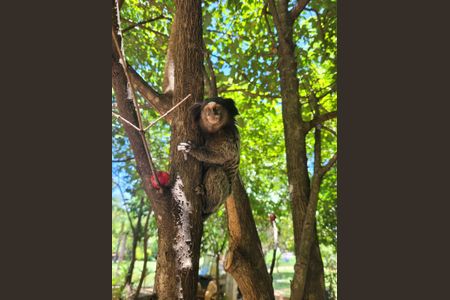 Apartamento à venda com 70m², 3 quartos e 2 vagasÁrea comum