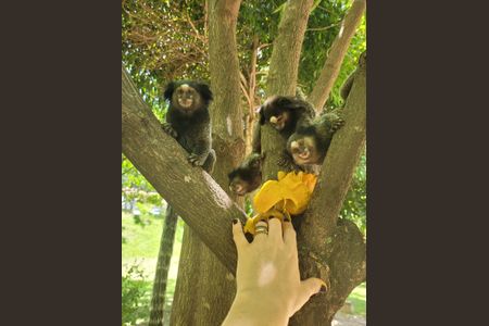 Apartamento à venda com 70m², 3 quartos e 2 vagasÁrea comum