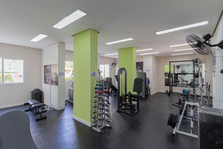 Apartamento à venda com 57m², 2 quartos e 1 vaga Apartamento à venda com 57m², 2 quartos e 1 vagaÁrea comum - Academia