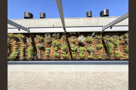 Studio para alugar com 24m², 1 quarto e sem vagaTerraço