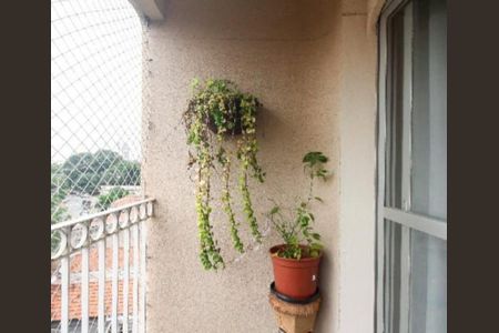 Apartamento à venda com 74m², 3 quartos e 1 vaga Apartamento à venda com 74m², 3 quartos e 1 vagaFoto 15