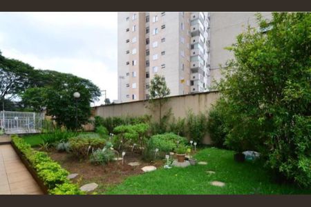 Foto 38 de apartamento à venda com 3 quartos, 73m² em Vila Campestre, São Paulo