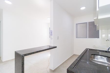 Apartamento para alugar com 50m², 2 quartos e sem vagaCozinha