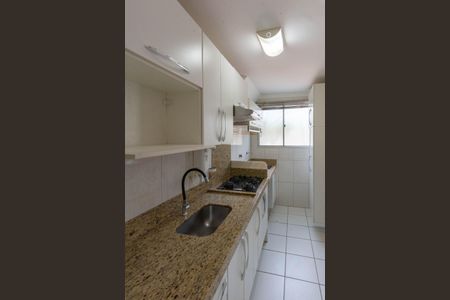 Cozinha de apartamento para alugar com 2 quartos, 45m² em Jardim Nova Europa, Campinas