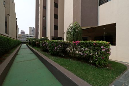 Apartamento à venda com 71m², 3 quartos e 1 vagaÁrea Comum