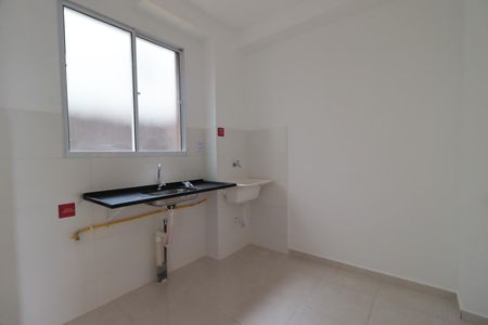 Cozinha de apartamento para alugar com 2 quartos, 42m² em Parque Residencial Candido Portinari, Ribeirão Preto