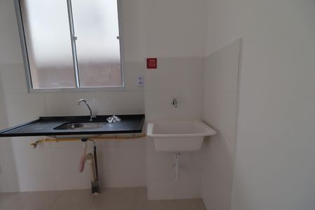 Cozinha de apartamento para alugar com 2 quartos, 42m² em Parque Residencial Candido Portinari, Ribeirão Preto