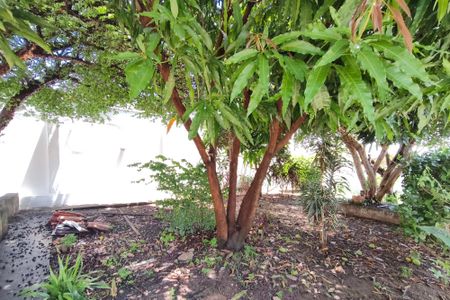 Casa à venda com 315m², 3 quartos e 4 vagas Casa à venda com 315m², 3 quartos e 4 vagasQuintal