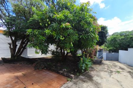 Casa à venda com 315m², 3 quartos e 4 vagas Casa à venda com 315m², 3 quartos e 4 vagasQuintal