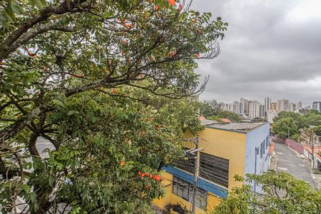 Casa para alugar com 240m², 2 quartos e 1 vagavistas_2