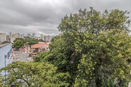 Casa para alugar com 240m², 2 quartos e 1 vagavistas_3