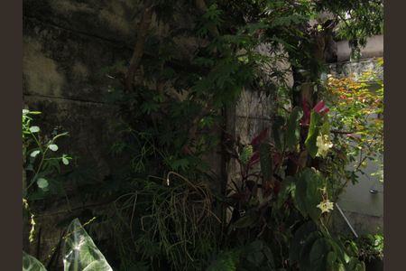 Casa à venda com 300m², 3 quartos e 1 vagaÁrea Externa