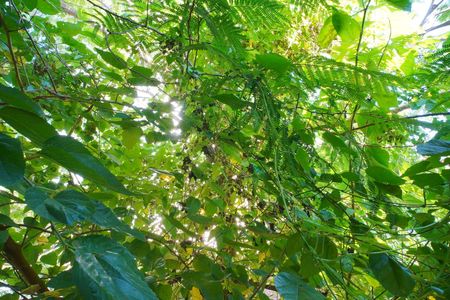 Apartamento para alugar com 77m², 3 quartos e sem vagaQuarto 2_Vista 