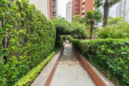 Apartamento à venda com 230m², 3 quartos e 3 vagasÁrea comum