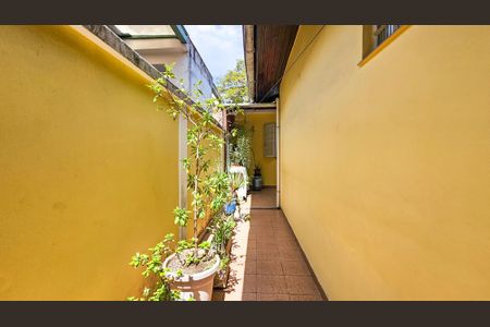 Casa para alugar com 176m², 3 quartos e 3 vagas Casa para alugar com 176m², 3 quartos e 3 vagasQuintal