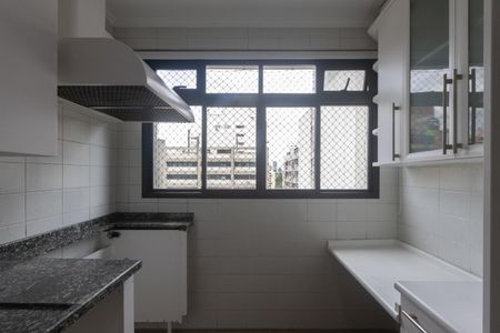 Apartamento para alugar com 240m², 5 quartos e 3 vagasCozinha